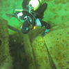 Picture taken during the dive