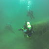 Picture taken during the dive