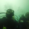 Picture taken during the dive