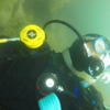 Picture taken during the dive