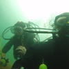 Picture taken during the dive