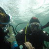 Picture taken during the dive