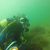 Picture taken during the dive