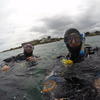 Picture taken during the dive