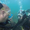 Picture taken during the dive