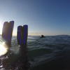 Picture taken during the dive