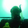Picture taken during the dive