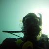 Picture taken during the dive