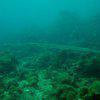 Picture taken during the dive