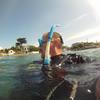 Picture taken during the dive