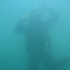 Picture taken during the dive