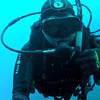 Picture taken during the dive