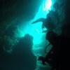 Picture taken during the dive