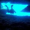 Picture taken during the dive