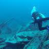 Picture taken during the dive