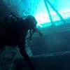 Picture taken during the dive