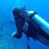Picture taken during the dive
