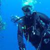 Picture taken during the dive