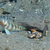 Picture taken during the dive