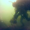 Picture taken during the dive