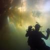 Picture taken during the dive