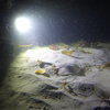 Picture taken during the dive