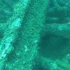 Picture taken during the dive