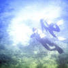 Picture taken during the dive