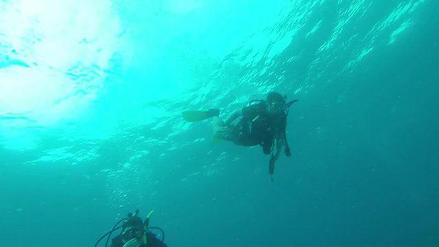 Diving in United States, Key Largo - By Jimb