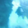 Picture taken during the dive