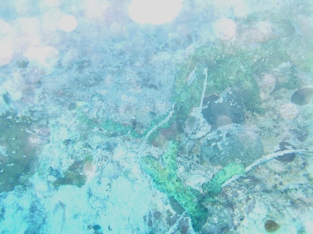 Dive Key West, Inc - Dive Center in United States