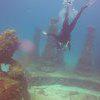 Picture taken during the dive