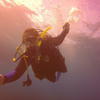 Picture taken during the dive