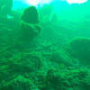 Picture taken during the dive