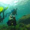 Picture taken during the dive