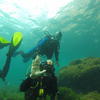 Picture taken during the dive