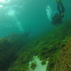 Picture taken during the dive