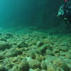 Picture taken during the dive