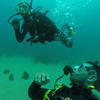 Picture taken during the dive
