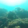 Picture taken during the dive