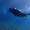 Picture taken during the dive