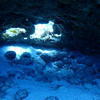 Picture taken during the dive
