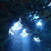 Picture taken during the dive
