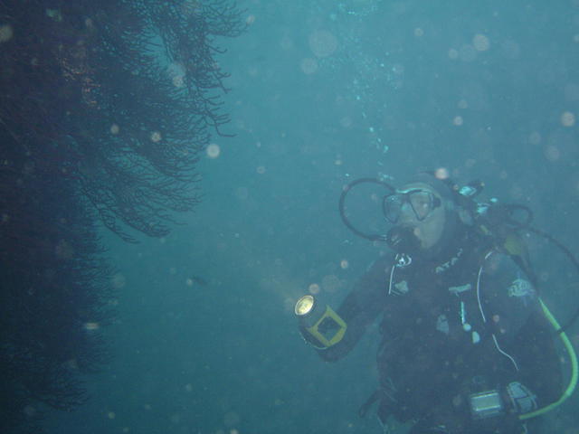 Csm Seynois - Dive Center
