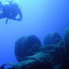Picture taken during the dive