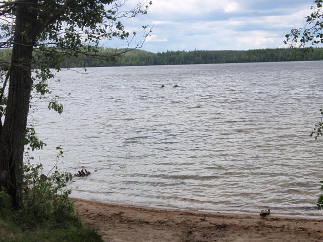 Jyväskylän Sukelluskeskus - Dive Center in Finland