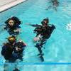 Picture taken during the dive