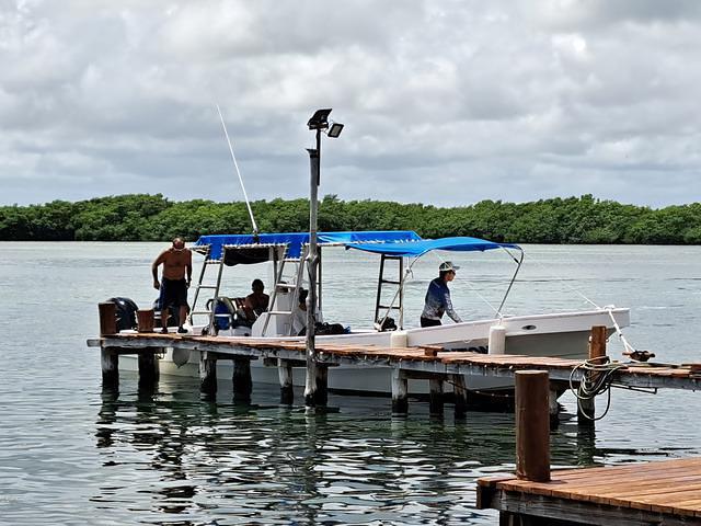 Solo Buceo/Only Diving - Dive Center in Mexico