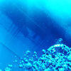 Picture taken during the dive