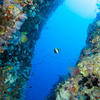 Picture taken during the dive